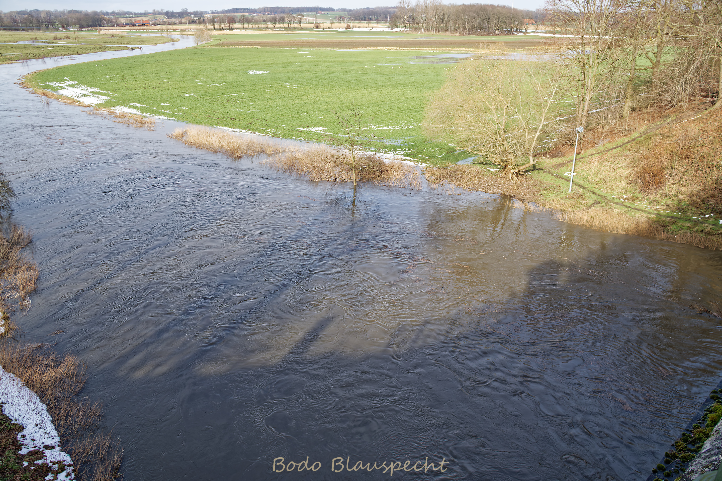 Hochwasser   Steveraue   2021.02.17 14.38 21 WEB